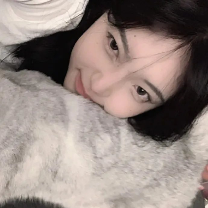 日本的西多妮